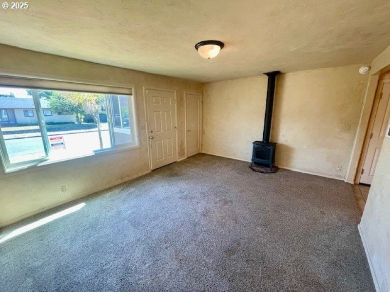 Fireplace Stove