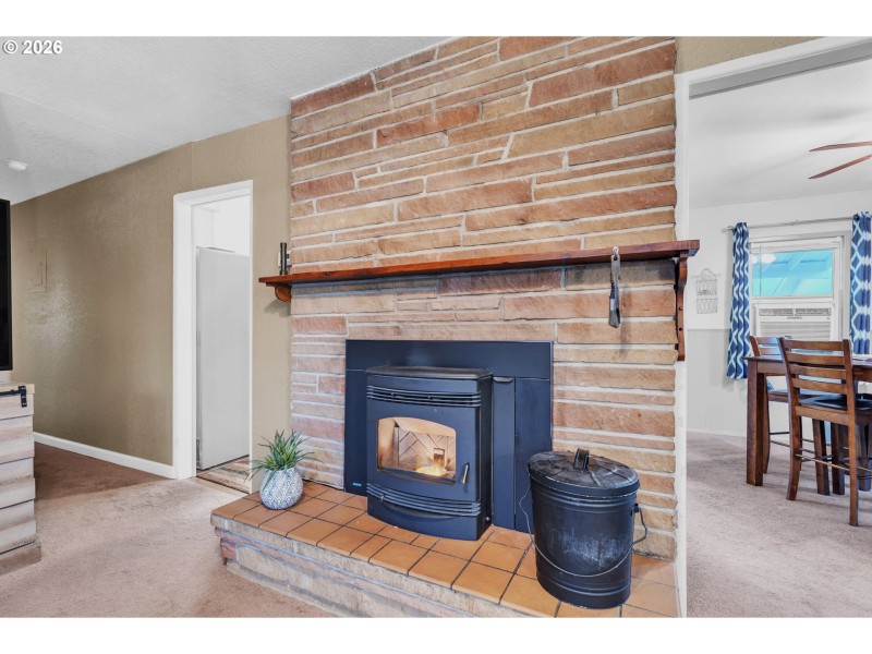 Fireplace Pellet Stove