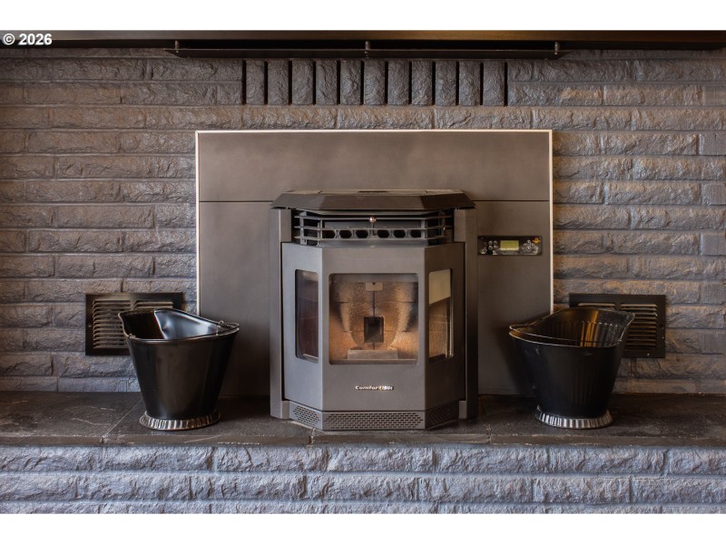 Fireplace Pellet Stove