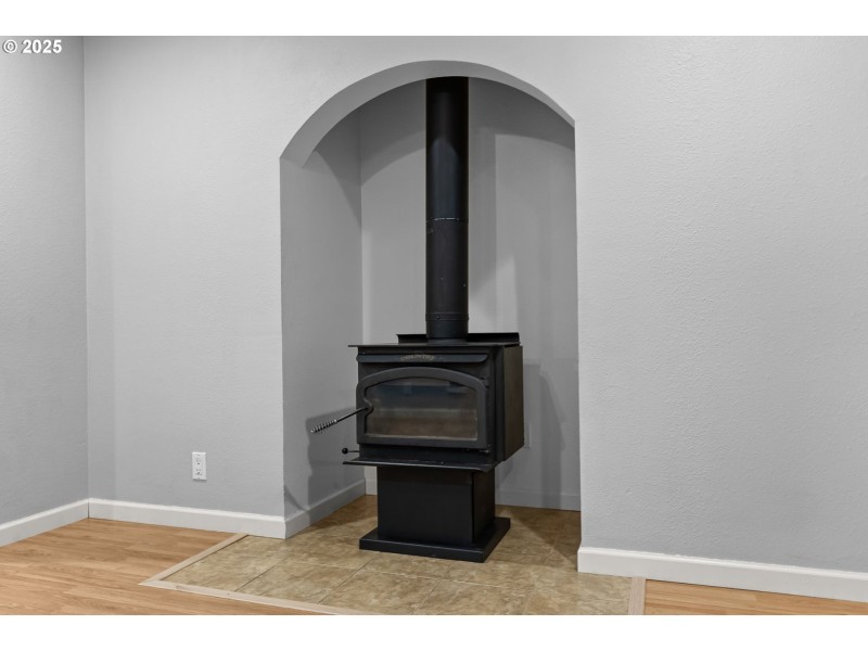 Fireplace Wood Burning Stove/Insert