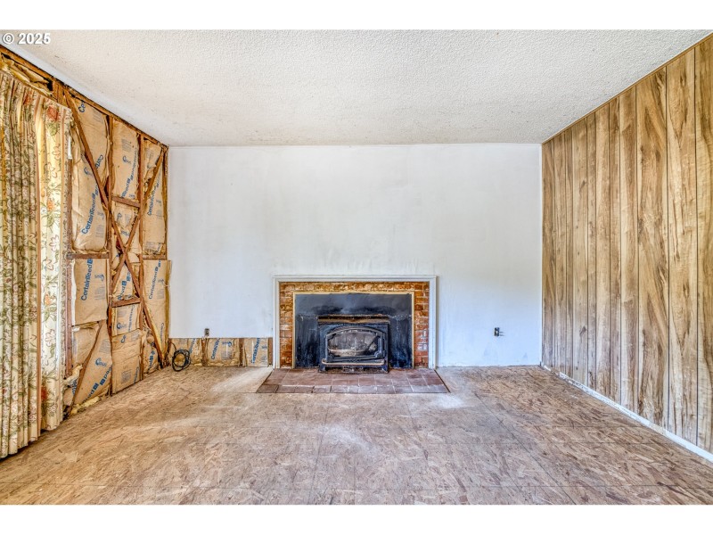 Fireplace Wood Burning Stove/Insert