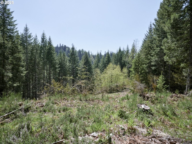 Acreage
