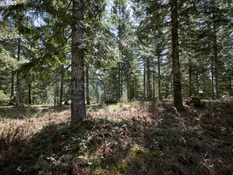 Acreage