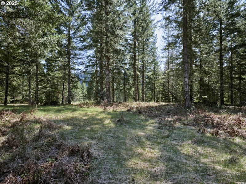 Acreage