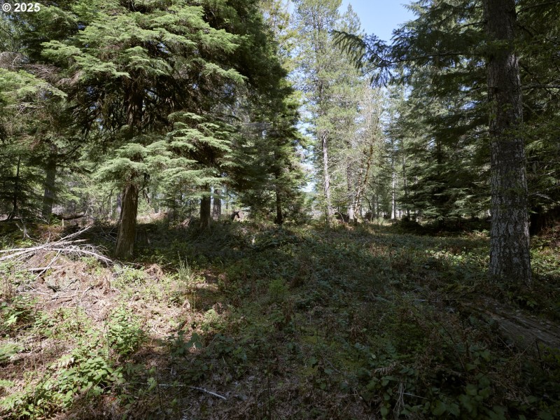 Acreage