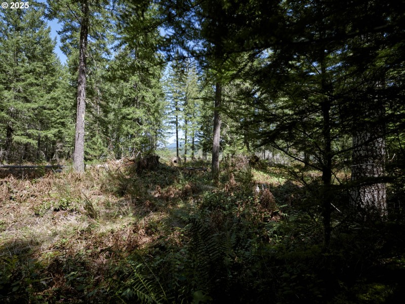 Acreage