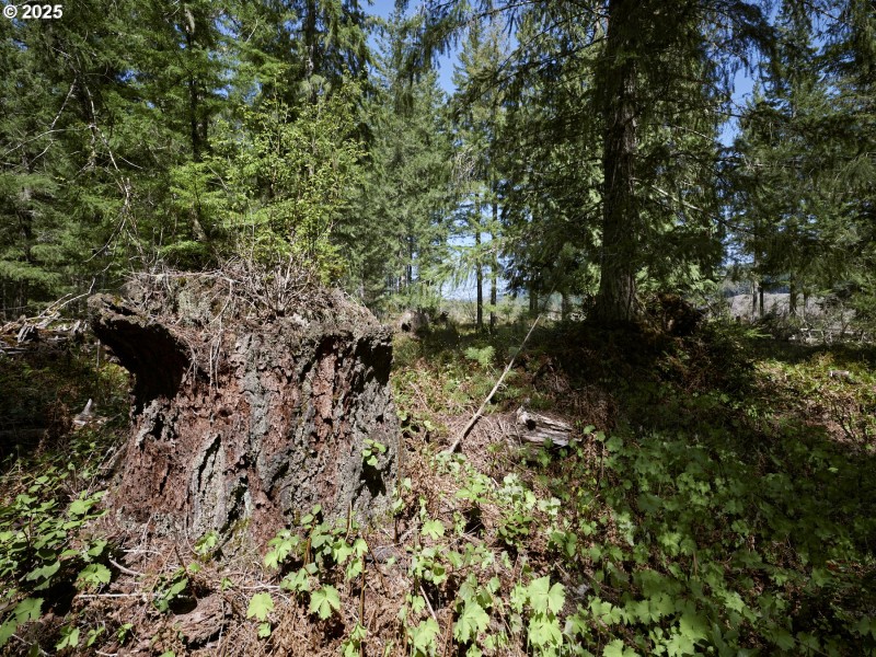 Acreage