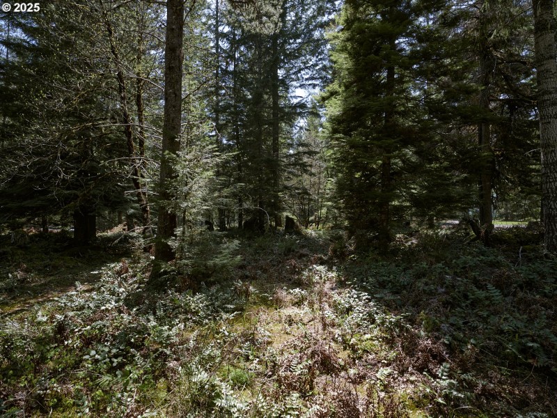 Acreage