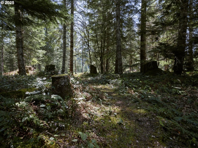 Acreage