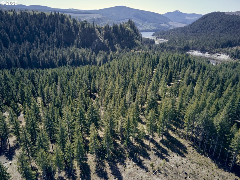 Acreage