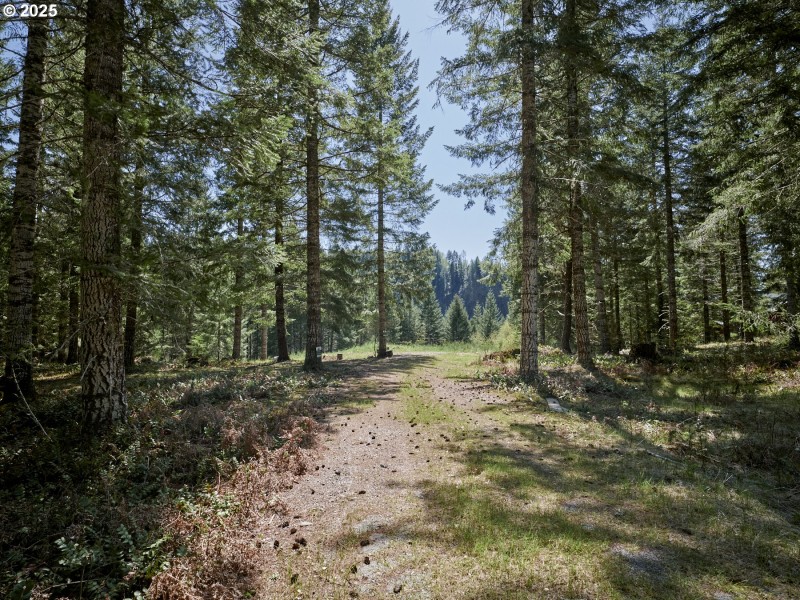 Acreage