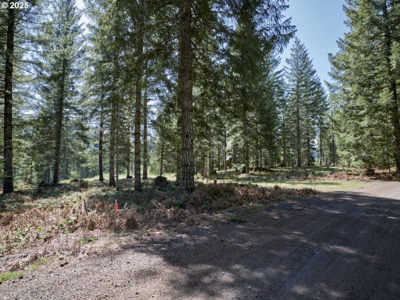 Acreage