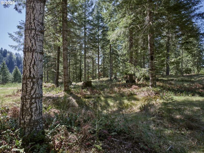 Acreage