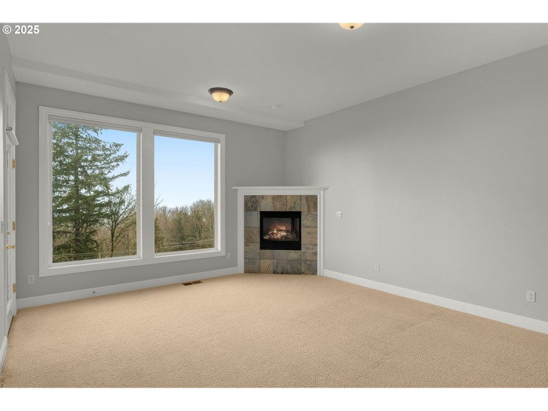 Fireplace Gas