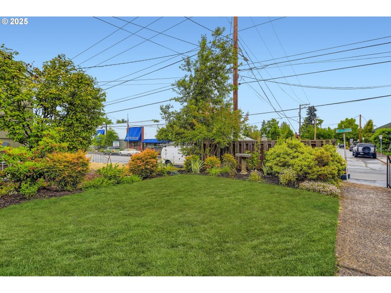 Front Yard