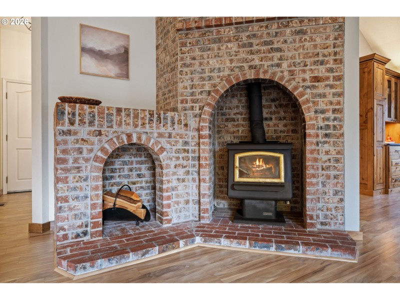 Fireplace Wood Burning Stove/Insert