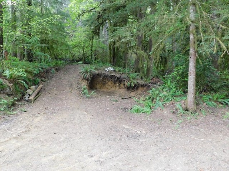 Buildable Area