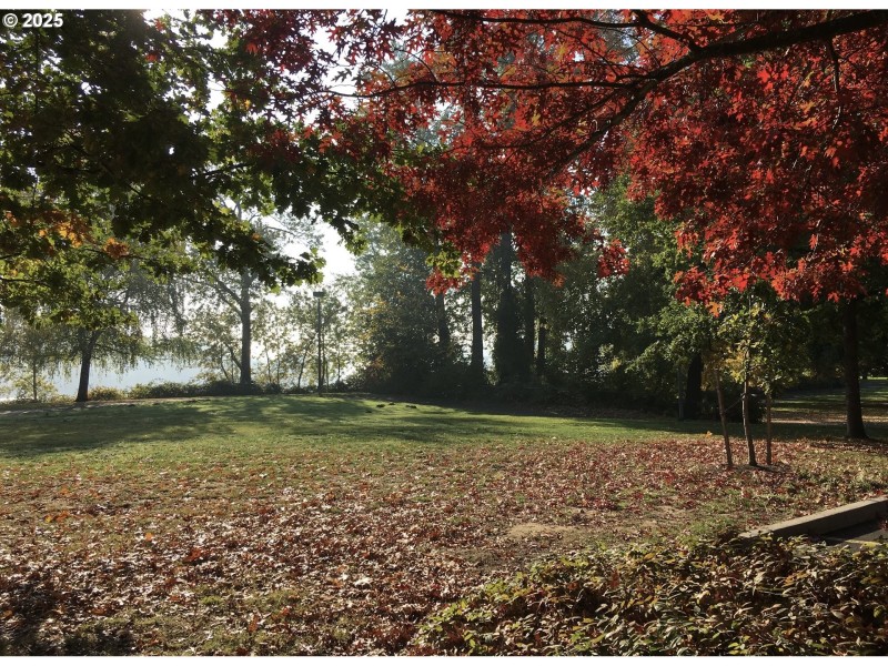 Neighborhood Park