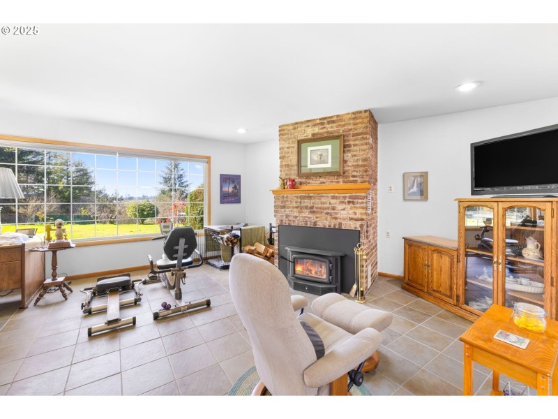 Fireplace Wood Burning Stove/Insert