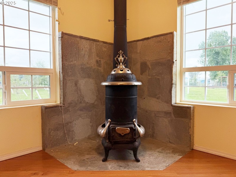 Fireplace Wood Burning Stove/Insert