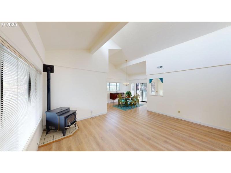 Fireplace Pellet Stove