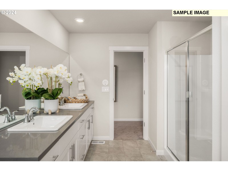 Owner's Suite Bathroom