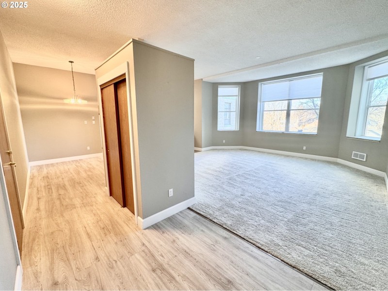 Living Room/Entrance