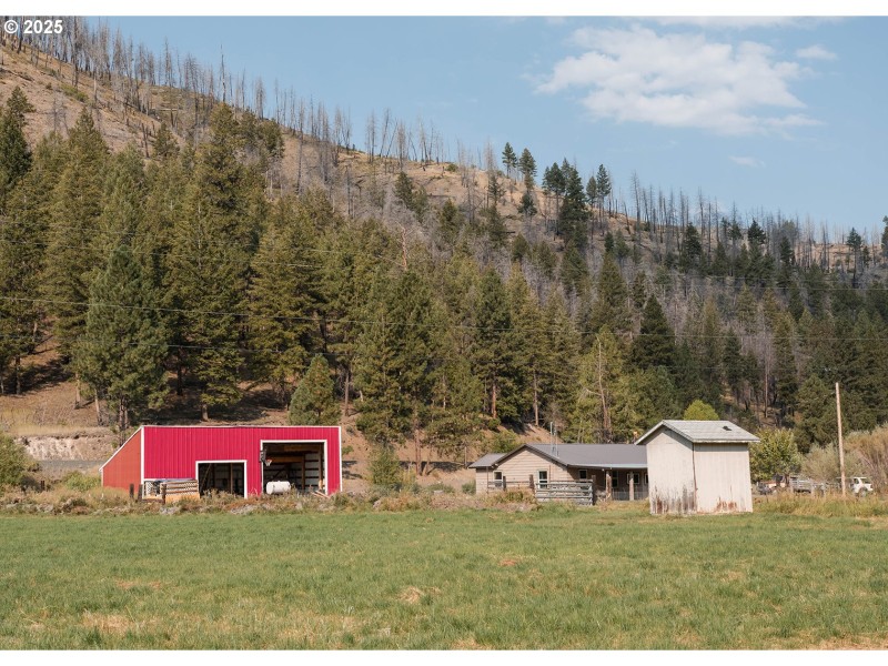 Pasture