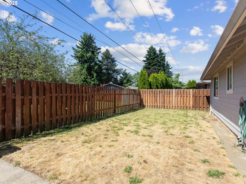 Backyard