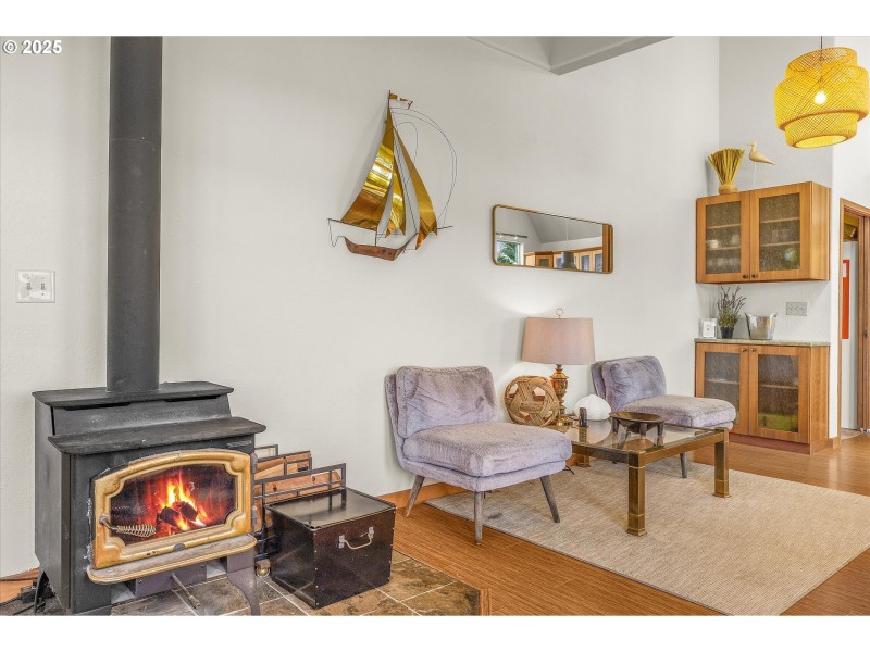 Fireplace Wood Burning Stove/Insert