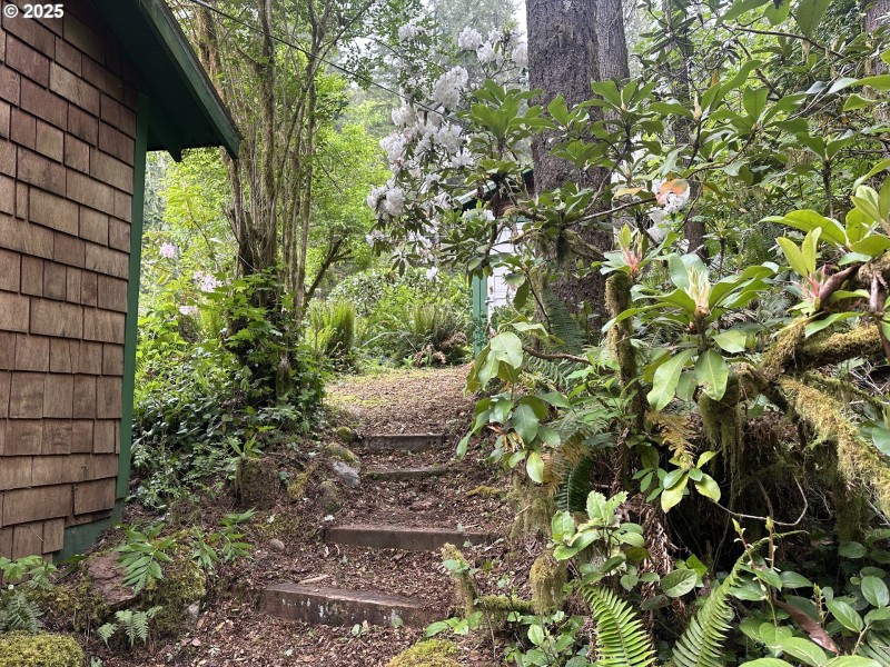 Yard
