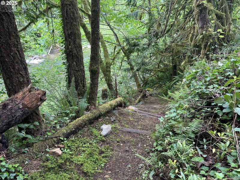 River Access