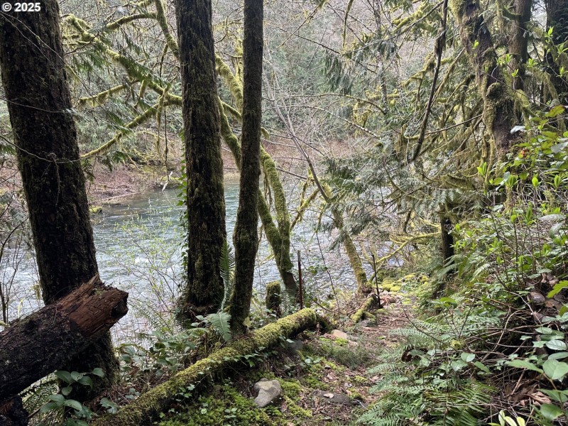 River Access