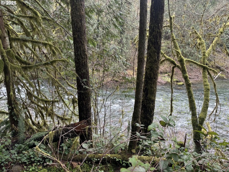 River Access
