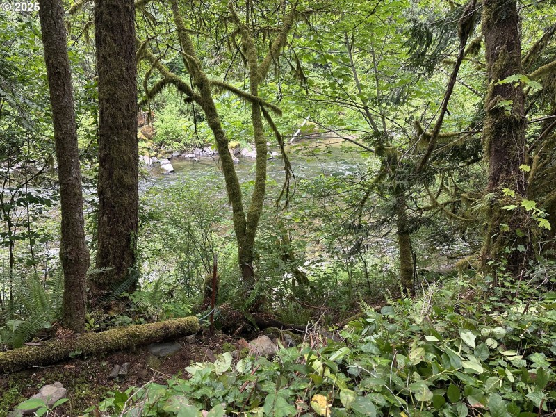 River Access