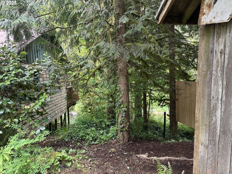 Yard