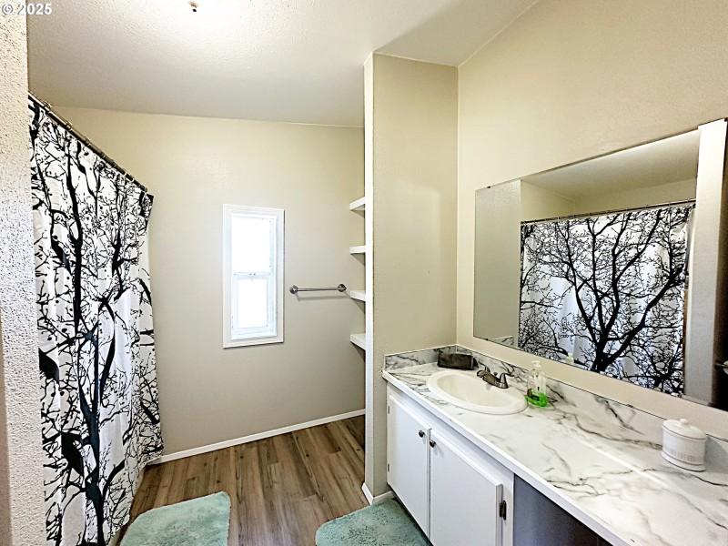Owner's Suite Bathroom
