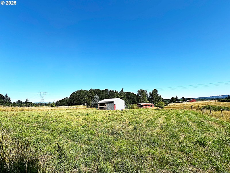 Pasture