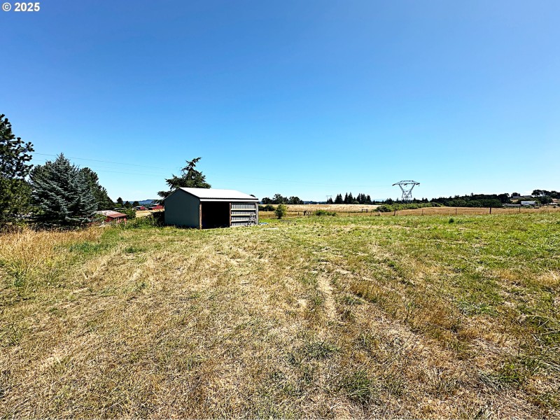 Pasture