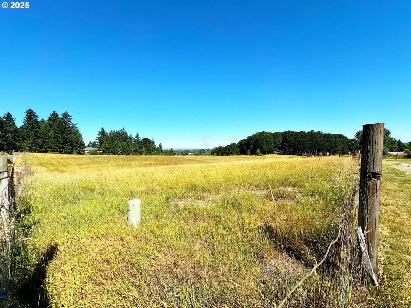 Pasture