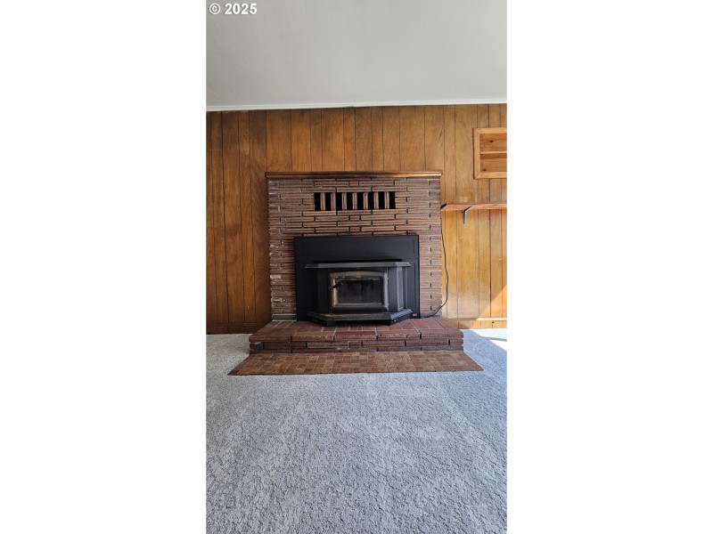 Fireplace Wood Burning Stove/Insert