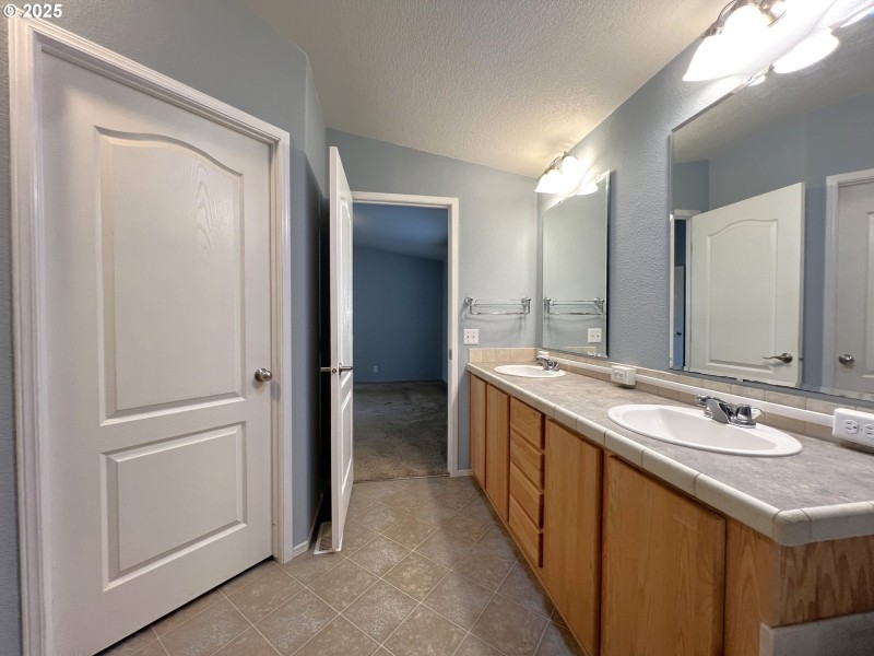 Owner's Suite Bathroom