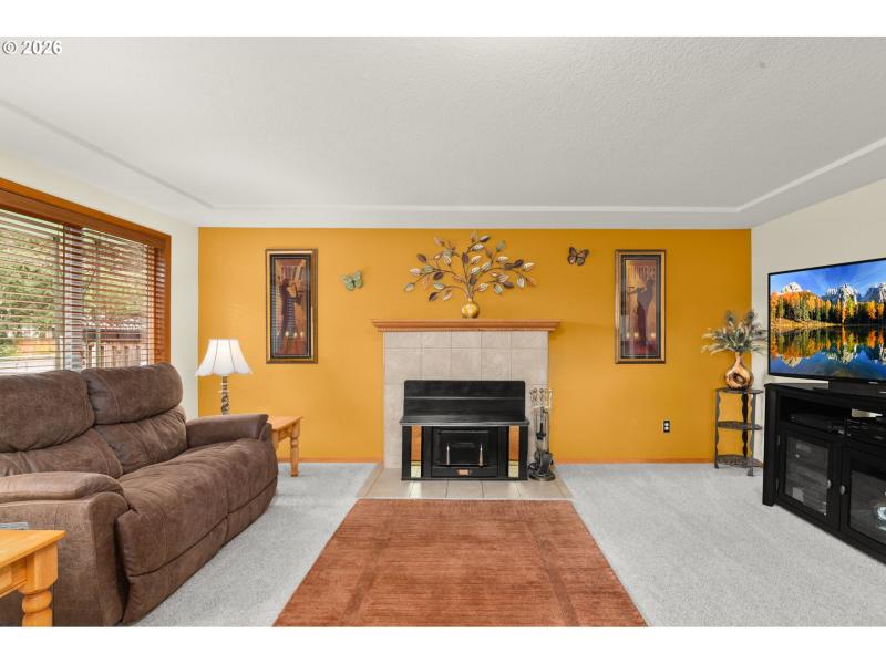 Fireplace Wood Burning Stove/Insert