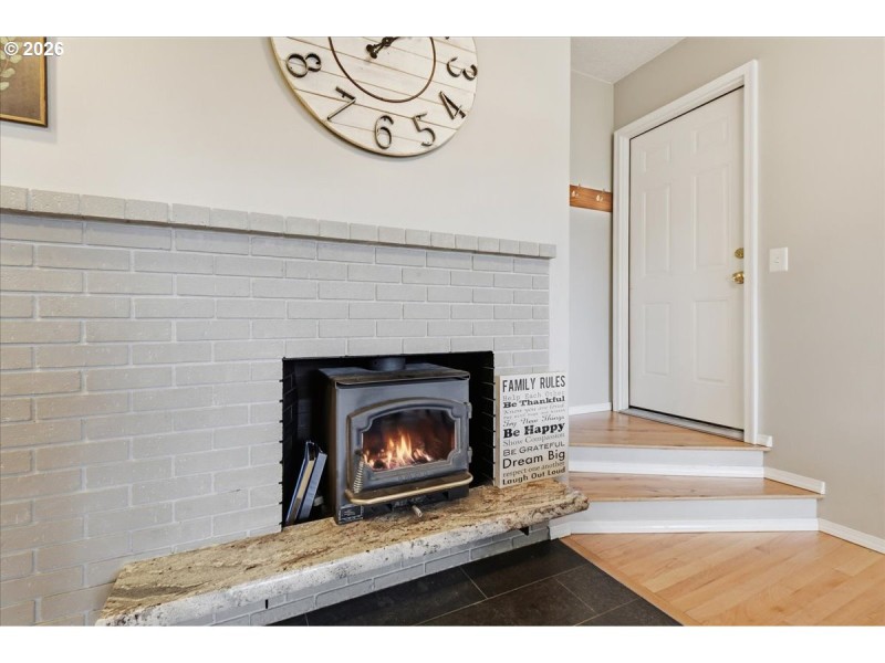 Fireplace Wood Burning Stove/Insert