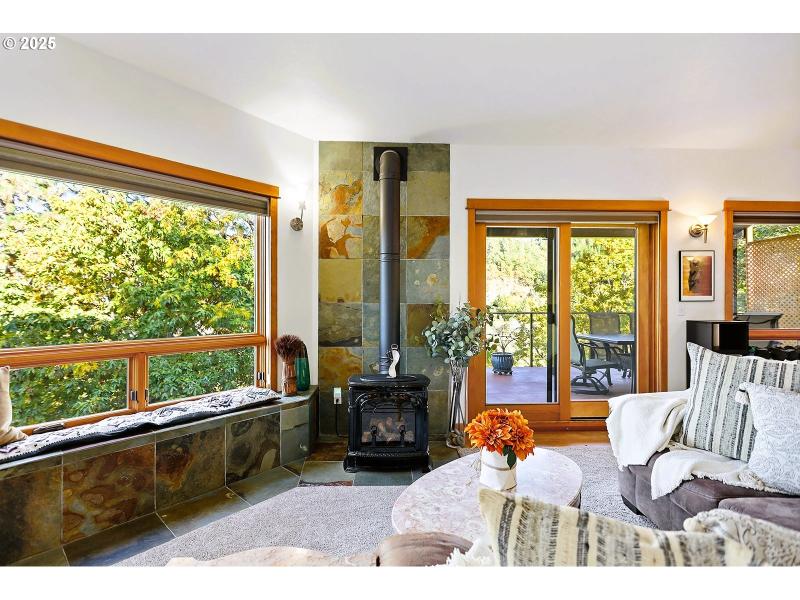 Fireplace Gas Burning Stove/Insert