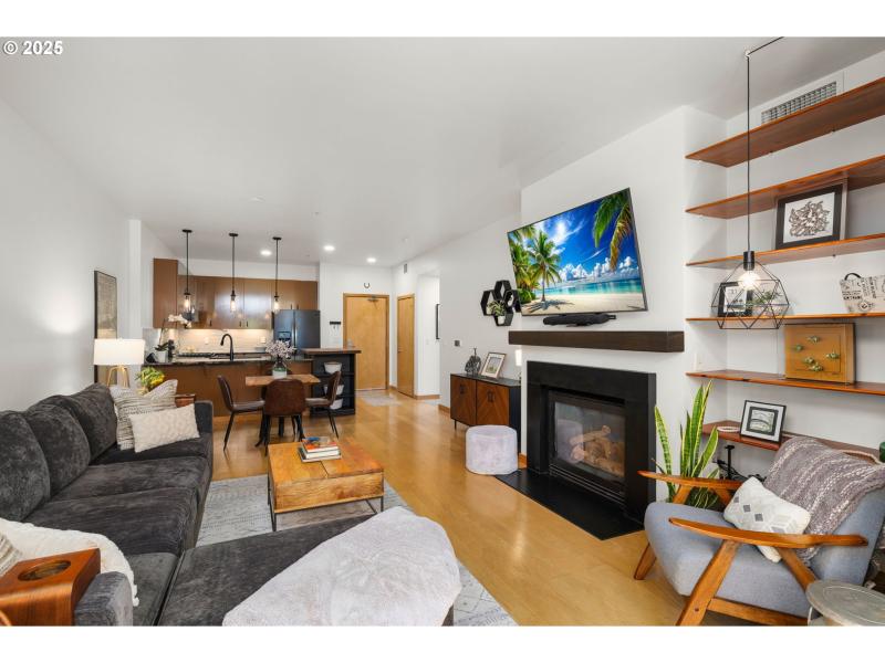 Living Room/Entrance