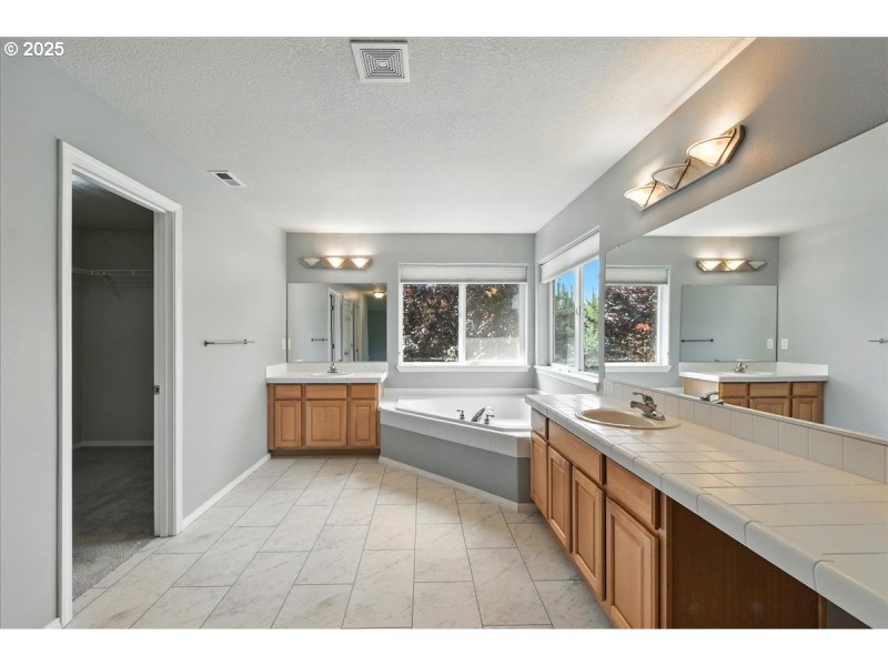 Owner's Suite Bathroom