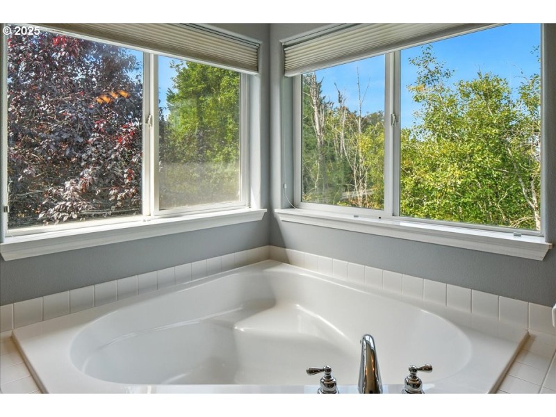 Owner's Suite Bathroom