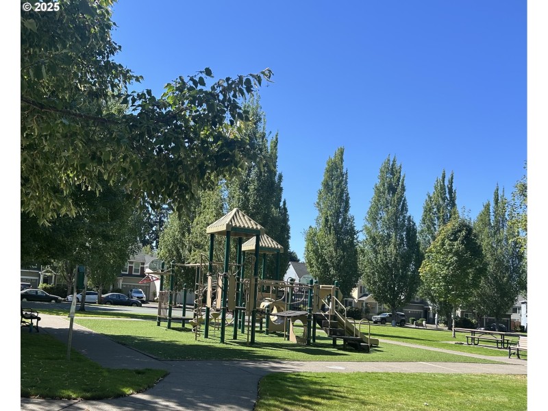 Community Playground