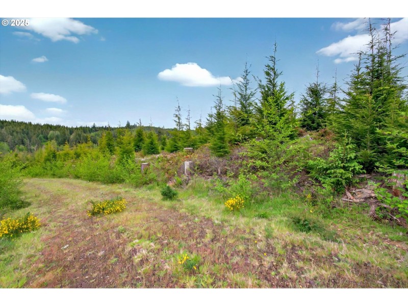 Acreage